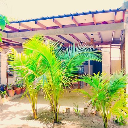 Sancia Lodge Fulidhoo Exterior foto